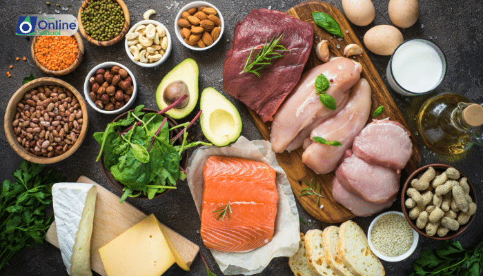 Lesson 09: Understanding Nutritional Problems: The Protein-Energy Puzzle